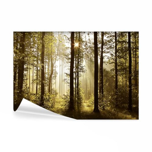 decomonkey Fototapete selbstklebend Wald, 343x256 cm, Landschaft Baum Natur | Selbstklebende, Tapeten, Wand, Fototapeten, Tapete, Wandtapete, klebend, Klebefolie