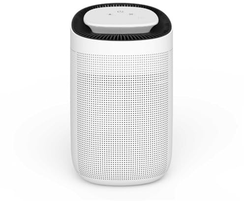 Inspire for homes - Deshumidificador y purificador de Aire 2 en 1, plástico, Blanco, 31,5 cm