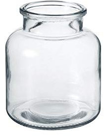 OASIS Modern Clear Glass Wide Flower Jar - Twig Stem Bouquet Display Vase (14 x 16cm)