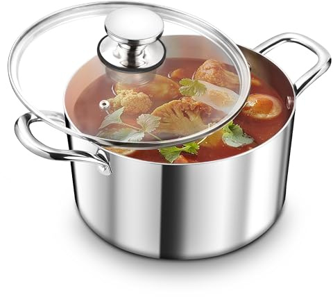 TEAMFAR Kochtopf Groß 26cm, 3-Lagen Edeastahl 6,6L Topf mit Glasdeckel | Nudeltopf Fleischtopf mit Glasdeckel für alle Herdarten, Edeastahl Poliert & Unbeschichtet, Gesund, Spülmaschinenfest