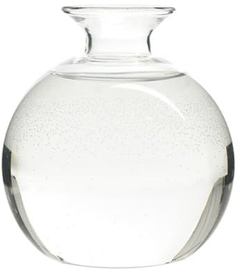 Fnaekier Vase en verre | Pot de fleurs en verre transparent | Élégant vase de culture d'arbre – Vase en verre transparent – Vase de culture d'arbre avec rési à la chaleur pour les amateurs de