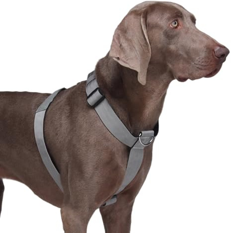 FEimaX Hundegeschirr Mittelgroße Hunde Ausbruchsicher Haustier Taktisches Anti Zug Y-Geschirr No Pull Hundegeschirr Große Hunde, Atmungsaktives Verstellbares Brustgeschirr mit Gepolstert (Grau, XL)