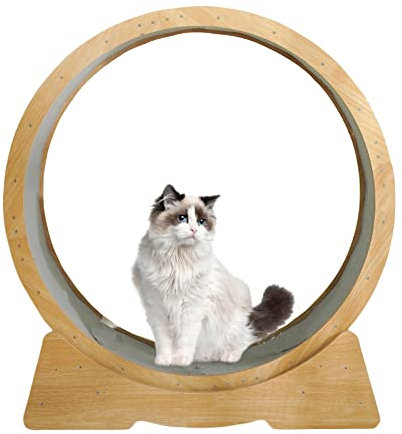 Katzenrad-Trainer Für Wohnungskatzen, Groß Laufrad Für Katzen, Runden Katze Laufrad Mit Sicherungsstift Und Teppichlaufbahn, Laufband Für Katzen Für Katzen Aller Größen