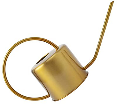 BESPORTBLE Arrosoir Acier Inoxydable Doré à Long Bec Et Pratique pour Arrosage Intérieur Et Jardin Adapté Plantes Et Fleurs
