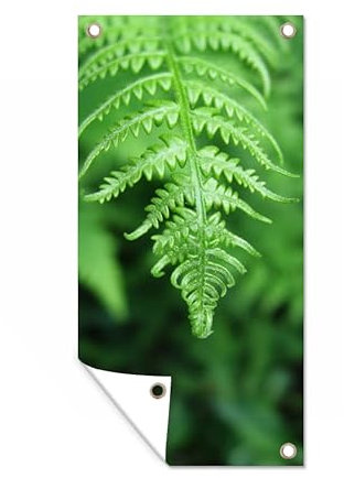 MuchoWow Outdoor-Poster Poster Wanddeko draußen Deko Garten Gartenposter 40x80 cm Grüne Blätter eines Farns vor einem verblassten Hintergrund