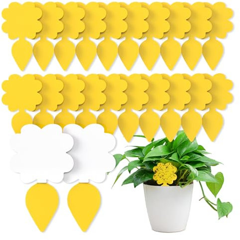 Wyewye 26 PCS Fruit Fly Traps, Double-sided Sticky Catcher for Fungus Gnats & Multiple Insects, Eco-Friendly Indoor Plant Fly Control to Protect Fruits & Vegetables