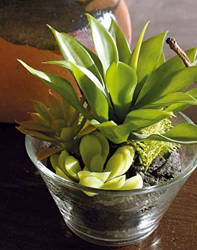 artplants.de Kunst Sukkulenten Gesteck Timothy im Glas, grün, 18cm - Künstliche Sukkulenten