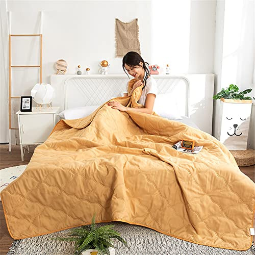 FANSU Tagesdecke Bettüberwurf Steppdecke Mikrofaser Doppelbett Einselbetten Gesteppt Bettwäsche Sofaüberwurf Wohndecke Bettdecke Stepp Gesteppter Quilt (180x200cm,Khaki)