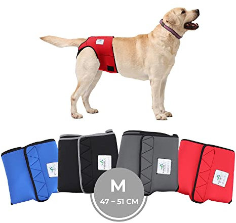 Nature Pet Läufigkeitshose für Hündinnen - Hundewindel für Rüden - Kein lästiges Einfädeln der Rute - Inkontinenz Hundehöschen (M-Rot)
