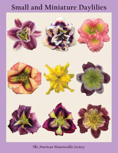 Small and Miniature Daylilies