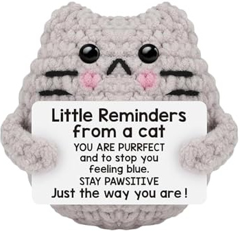 Genérico Häkeln mit positiver Katze, gehäkelt, emotionale Unterstützung, kleine Erinnerungen, positive Katze, handgestrickt, mit Botschaft, lustiger Osterkorb