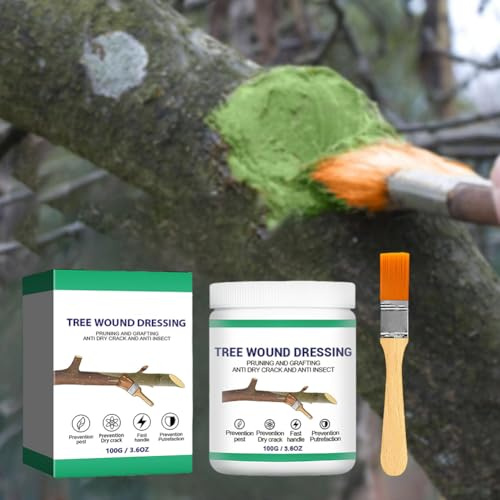 100 g de scellant pour plaies d'arbre, pâte coupée pour bonsaï, pâte de cicatrisation des plantes, pansement des plaies, mastic, cire de greffage, fournitures de greffage avec brosse