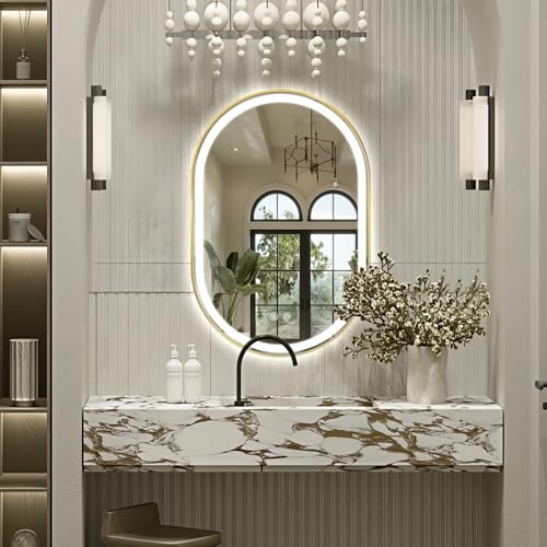 Niccy Oval LED Mirror for Bathroom, 40x24 Front Lit + Backlit Vanity Mirrors with Light Anti-Fog, Shatter-Proof, 3 Colors, Makeup Mirror with Old Gold Frame (Horizontal/Vertical)