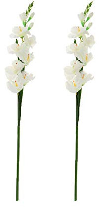 Baoblaze 2Pcs Artificial Gladiolus Flowers - Silk Flower Stems with Chain Garland for Wedding, Party & Home Decor - Floral Arrangements for Outdoor/Indoor Use - Realistic Gladiolus Bouquet