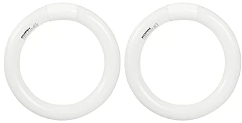 (2 Pack) Sylvania 23520 Cool White Premium Circline Fluorescent T9 Circle 9 inch Diameter, 30 watts, 4100K, 2000 lumens, 80 CRI Fluorescent Light Bulb