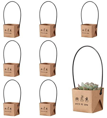 NITHECON 40 Stück Watch Me Grow Sukkulenten Wraps [Pflanzen und Töpfe nicht im Lieferumfang enthalten] - [passend für 5,1 cm Töpfe] Geschenktüten, Dekorationshülle, Sukkulenten-Anhänger für Babypartys