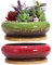 ARTKETTY Succulent Plant Pots, 2 PCS Large Bonsai Pot with Trays, Shallow Plant Pot Ceramic Pots for Indoor Cactus Flower Plants Decorative Garden Home Office