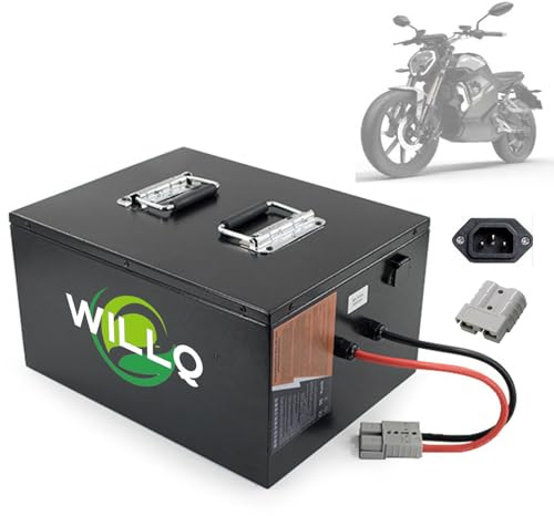 WILLQ Batería Litio Repuesto Triciclo eléctrico Carrito Golf o Motocicleta 60 voltios Paquete de baterías de fosfato de Hierro y Litio 60V 100Ah 80Ah 60Ah con BMS para Motor 0 a 6000W,60v60ah