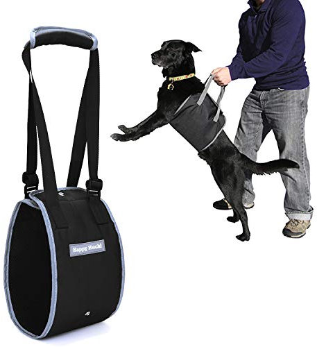 Louvra Tragehilfe für Hunde Hilfsgeschirr Nylon Verstellbar Tragegurt für Alte Behinderte Hunde Unterstützung beim Laufen Treppensteigen Rehabilitation Assist (Schwarz/Rot)