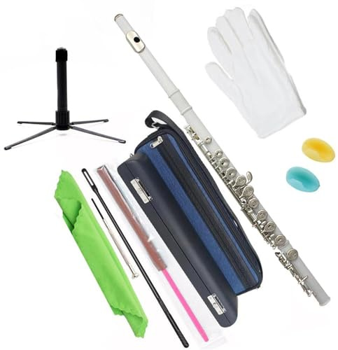 16-Tasten-C-Ton-Schülerflöte Mit Geschlossenem Loch, Tragbarem Rucksack Und Zubehörset Querflöte für Anfänger (Color : H)
