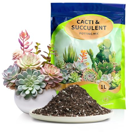GOTVUGE Sukkulenten- und Kaktuserde, Schnell durchlässig mit Perlit & Vermikulit, ideal für Sukkulenten, Kakteen & Bonsai – 2 L