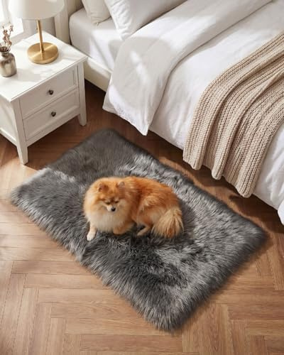 Gofodsil Plüsch Faux-Schaffell Shaggy Teppich, waschbar,grau 50x80 | Ultraweicher, flauschiger Flor für Wohn- und Schlafzimmer, Yoga und Schlafsaal; maschinenwaschbar für einfache Pflege
