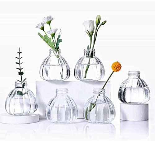 Eidoct Glass Bud Vases Set of 6, Glass Flower Vases Small Bottles | Rustic Decorative Floral Vases for Centerpiece Home Living Room Office or Wedding Event