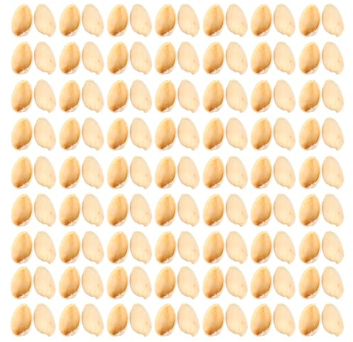 TEMPNAP Coquilles de Pistaches Naturelles 500G pour Bricolage Matériaux Artisanaux Décoratifs Remplissage de Vase Projets DIY Fournitures Créatives pour Garçon et Filles et Adultes