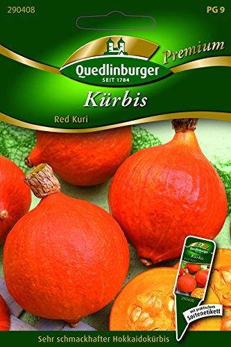 Kürbis Red Kuri - Cucurbita maxima duchesne QLB Premium Saatgut Kürbis