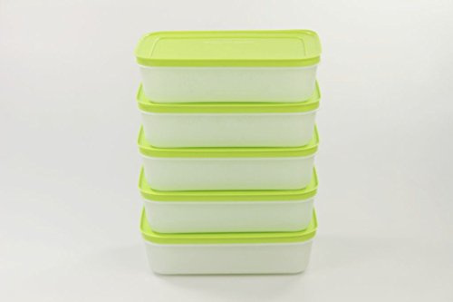 TUPPERWARE Contenitore Pinguino da 1,0 L bianco verde (5)