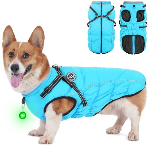 HezzLuv Hundemantel Winter, Hundemantel Wasserdicht, Warme Hundejacke mit Geschirr