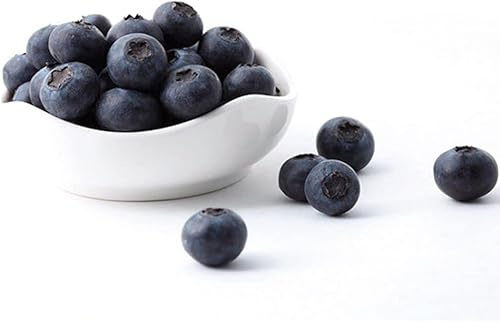 Nlinlin 20 Pcs Artificial Blueberries Plastic Fake Blue Berry Plants Realistic Artificial Blueberry Plants for Home Wedding Office Party Kitchen Cabinet Artificial Fruit Flowers