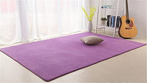 Alfombra de Terciopelo Coral Grueso de Color sólido Calidad Púrpura colorido Suave Lavable Antideslizante Grande Rugs Minimalista Moderna Sala De Estar Dormitorio Tatami Gateando Estera -120×140cm