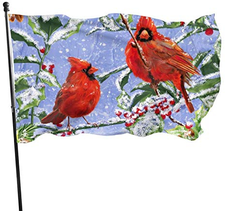 Bandera decorativa para exteriores de 3 x 5 pies, bandera grande de jardín, invierno, Navidad, pájaros de acebo, bandera divertida de color vivo, bandera de barlovento, bandera de poliéster para