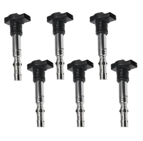 DZSQWETYU Zündspule 6 Pcs Auto Zündspule Für S4 V8-4,2 L 2004 06A905115A 06B905115H Zündmodul