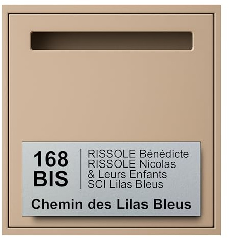 Plaque Boite aux Lettres Personnalisable - 24x10 cm - Numéro de Maison et Adresse - Gravée et Personnalisée - Signalétique Maison, Cabinet, Entreprise, Bureau, Etiquette avec Nom (Argent)