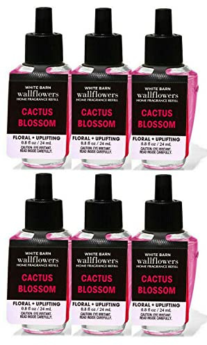 Bath and Body Works 6er Pack Kaktusblüten Wallflowers (24 ml) Duft-Nachfüller