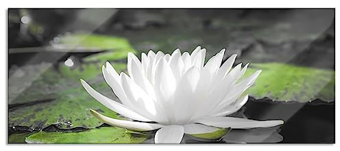 Pixxprint Glasbild Panorama, Wandbild aus Echtglas, Weiße Lotusblume im Wasser, 120x50 cm, inkl. Aufhängung und Abstandshalter