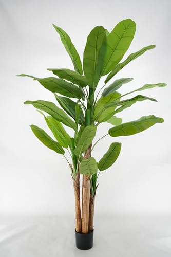 Pianta Artificiale di Banano con Corteccia Naturale, Foglie in PVC, Varie Misure, per Interni Residenziali e Commerciali (Chiquita 220 cm Luxury - 3 tronchi)