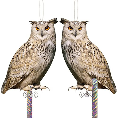 Effaroucheur Oiseaux, Anti Pigeon Balcon, Repulsif Pigeon, Effaroucheur Pigeons Balcon, Corbeau Anti-Pigeon, Hibou Anti Pigeons, Epouvantail pour Balcon Extérieur Jardin 2 Pièces Carton