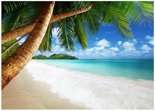 WallArena - Papier peint photo non tissé plage et mer 7 - Papier peint photo - Pour salon et chambre à coucher - Effet 3D - Avec colle - Paysage tropical océan