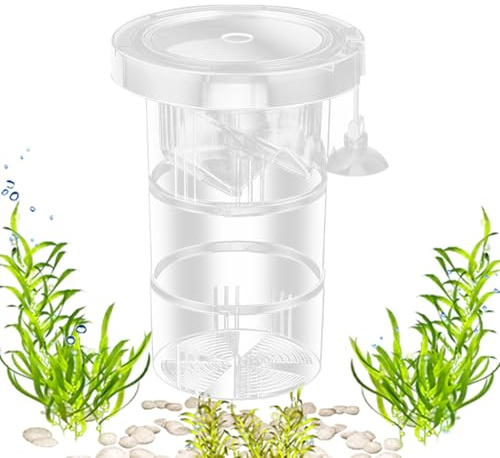 Rechory Züchterbox für Aquarien, Isolationsbox, verstellbar, wiederverwendbar, Refugium für Frittiere, Aufzucht, Lebendfutter, verletzte Wasserlebewesen, Guppy, Salzwasser,