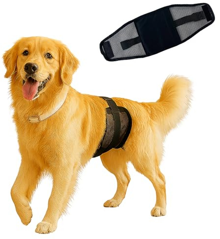Colenumone Hundewindeln für Rüden – Atmungsaktives Air-Mesh-Gewebe, Wiederverwendbare und waschbare Bauchbänder für Hunde, Für Hündchen und Welpen bei Inkontinenz oder unruhigem Urinieren(M)