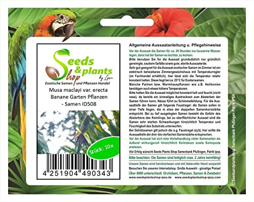 Pcs - 10x Musa (Bananier) Maclayi Var. Erecta Banane Jardin Plantes - Graines ID508 - Seeds & Plants Shop by Ipsa