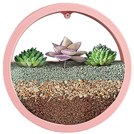 ROCKIA Wandvase | Transparenter runder Blumentopf, Wandvase, Sukkulenten-Übertopf, runde Vase, Dekoration, Behälterhalter für Sukkulenten, Luftpflanzen