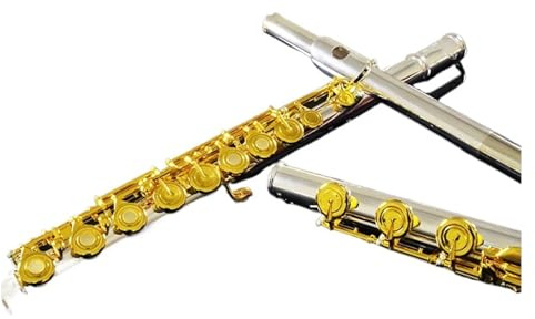 Flauto Do Foro Chiuso Flauto con bocchino in nichel argento Strumento per flauto professionale a 17 fori strumento di prova