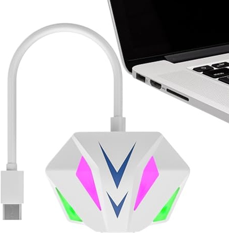 Adattatore Di Rete Ethernet Veloce plug and play, nessun driver, | Type-C per Lavoro e Intrattenimento, Scaricamento di File, Visione di Video e Giochi della Rete