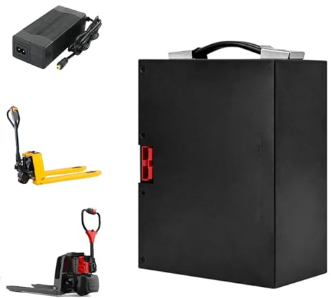 JCXYL EV Batteria agli ioni di Litio per carrelli elevatori elettrici da 48 V, 10 Ah, 15 Ah, 20 Ah, 30 Ah, Batteria per trasportatori elettrici a Spinta Manuale da 48 V,48v,10Ah