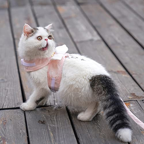 Haofy Set aus Katzengeschirr und Leine, Verstellbare Netzweste mit Engelsdesign, Ausreißsicher, Leicht (XL (2,5–4 kg/5,5–8,8 lb))