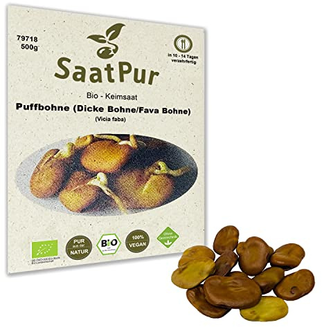 500g Bio Keimsprossen Puffbohne Keimsaat für die Sprossenzucht Microgreens Grünkraut Ackerbohne